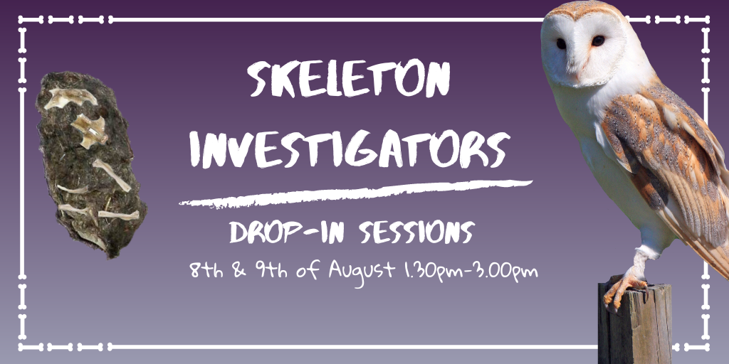 Skeleton Investigators Summer 2022 (1)